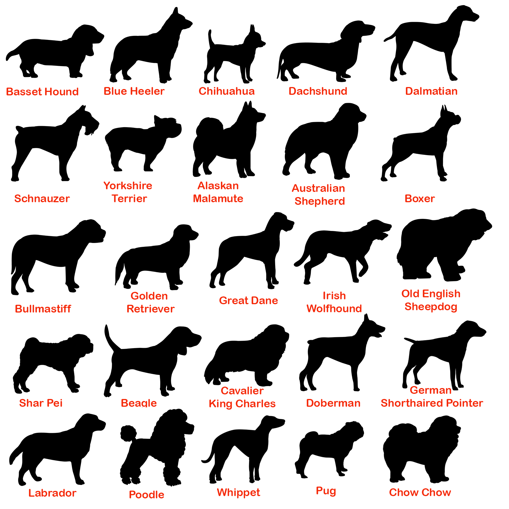 Dog Dakota Ash Ring - Image 5